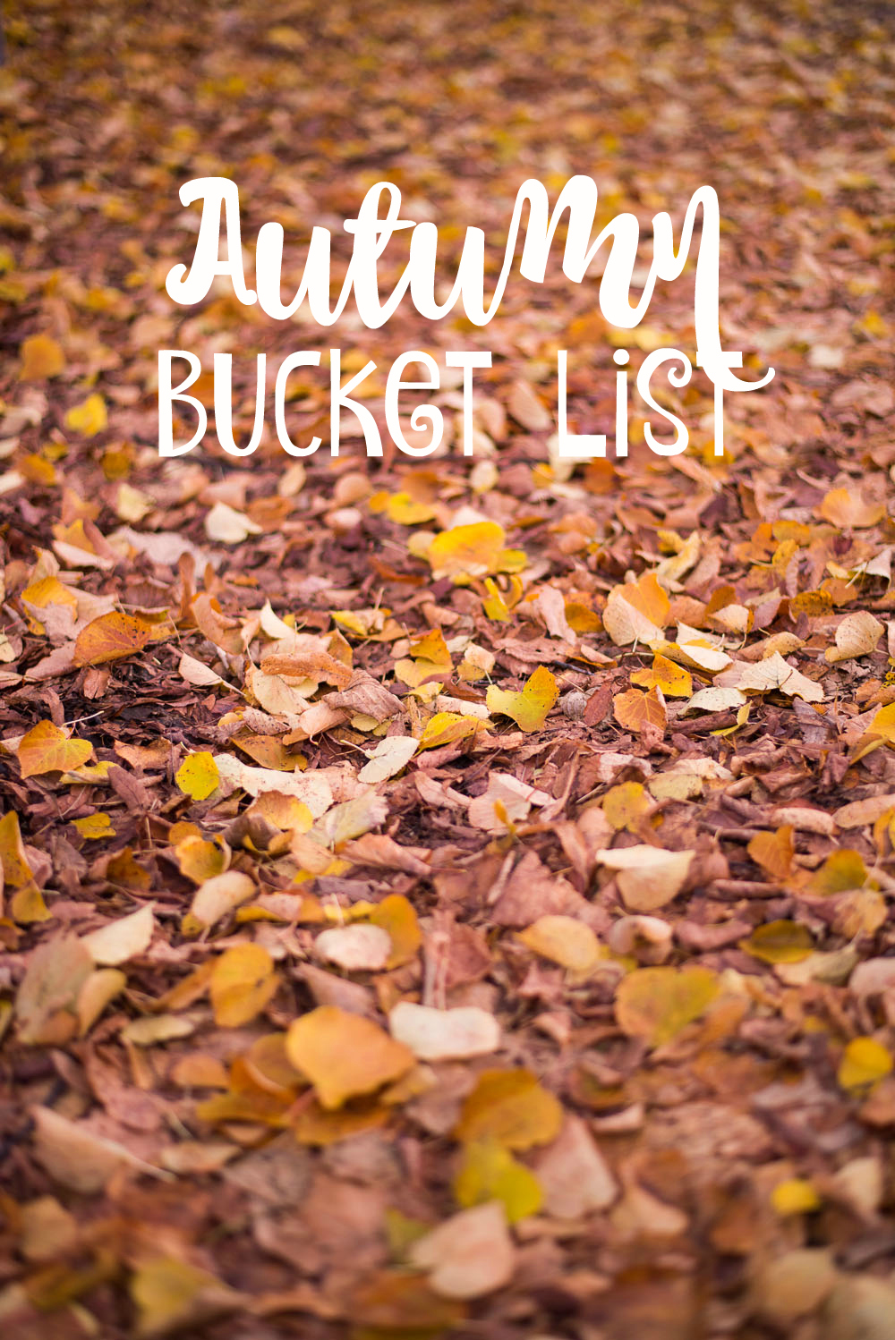 autumn bucket list