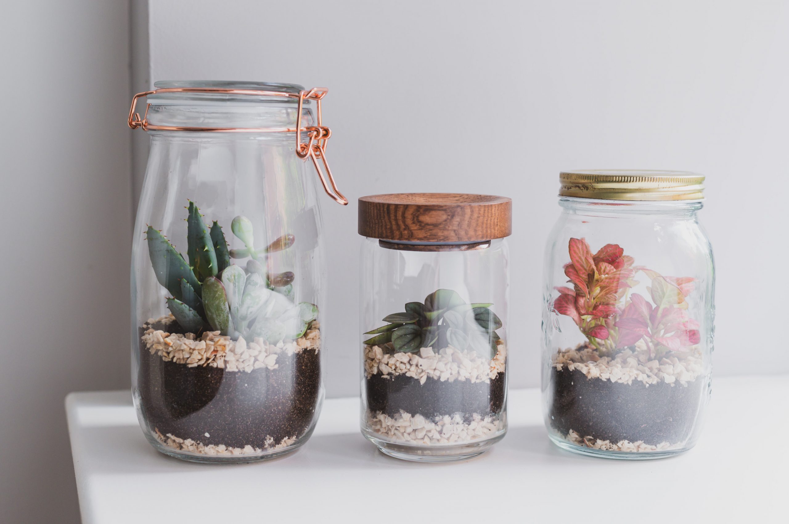 Tutorial: Spice Jar Mini Terrariums
